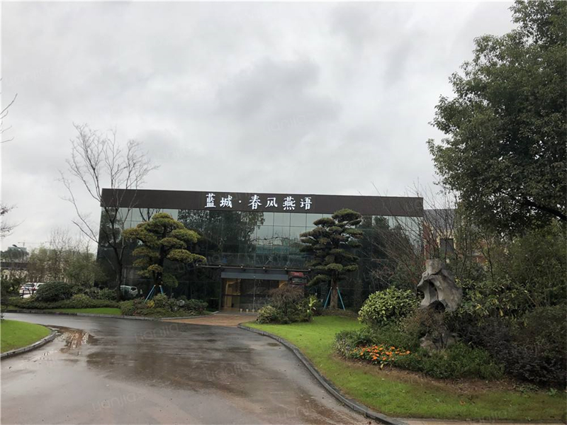 杭州臨安春風燕語新風除濕.jpg